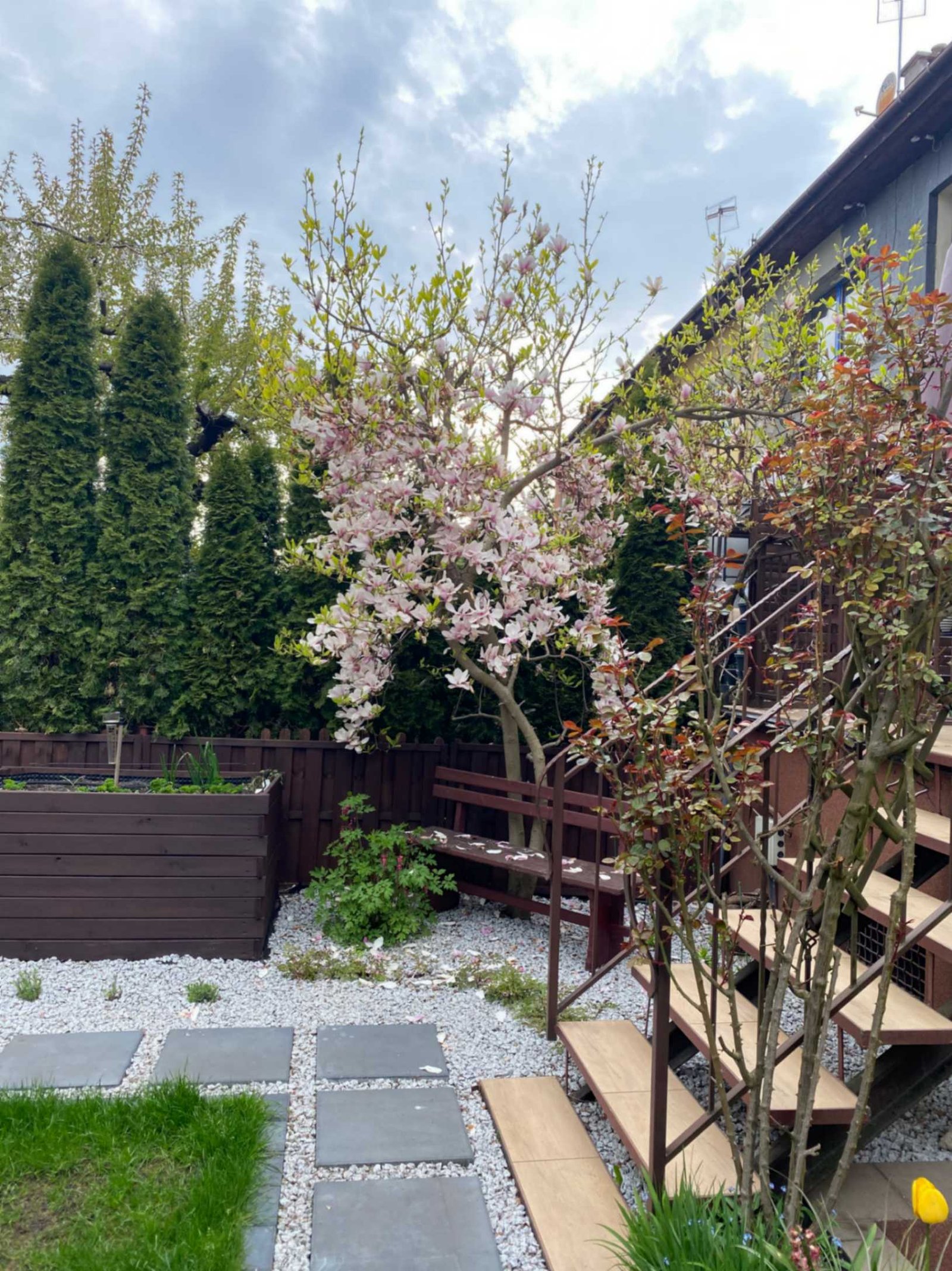 Wintry Mountain Landscape
