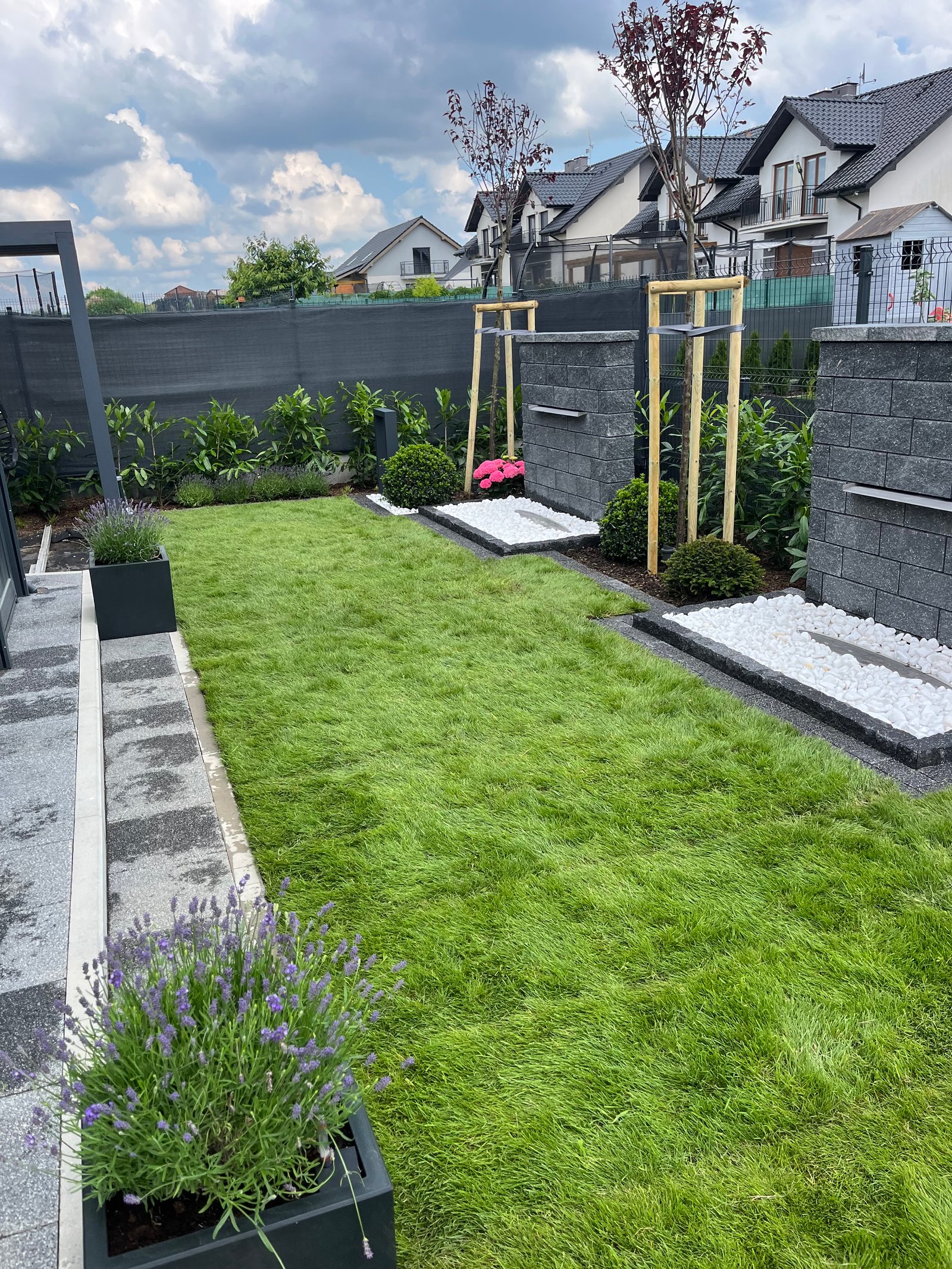 Yosemite National Park